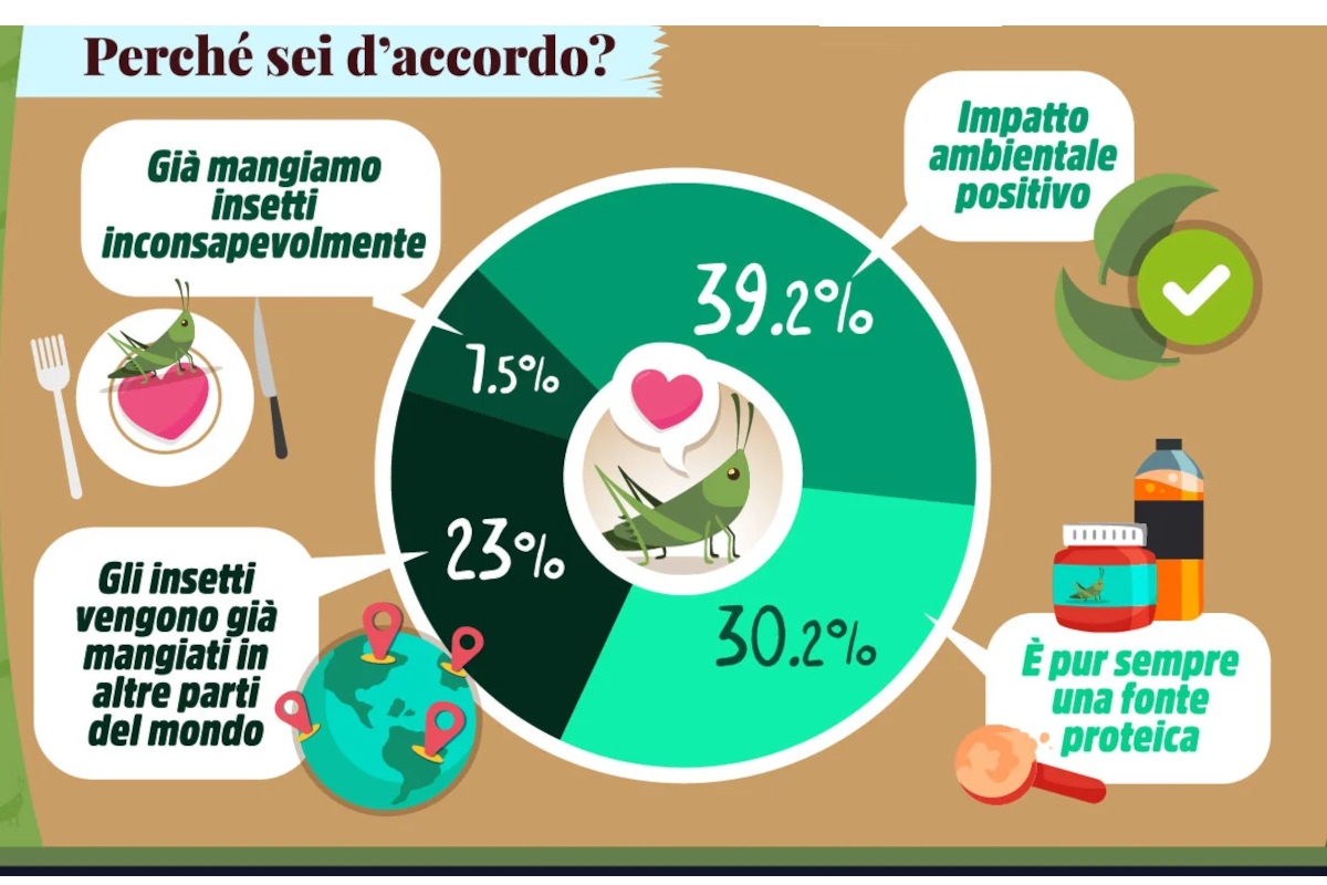 Il 72% degli italiani dice sì alla farina di grilli mille intervistati valgono un Paese?